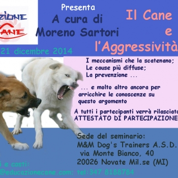 Immagine evento