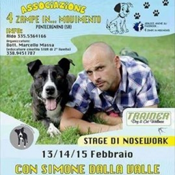 Immagine evento