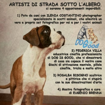 Immagine evento
