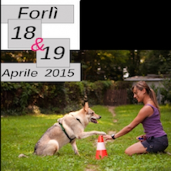Immagine evento
