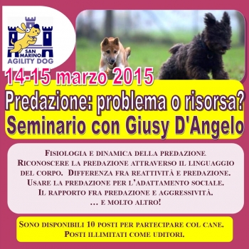 Immagine evento