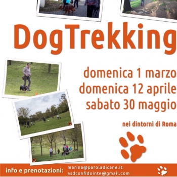 Immagine evento