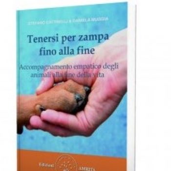Immagine evento