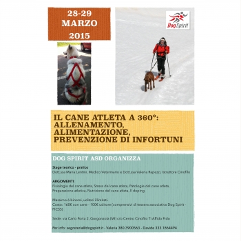Immagine evento