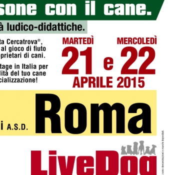 Immagine evento