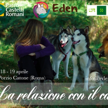 Immagine evento