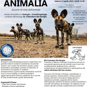 Immagine evento