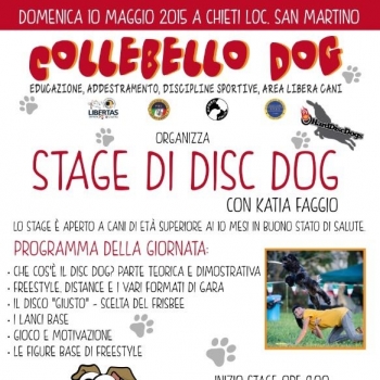 Immagine evento