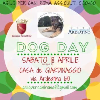 Immagine evento