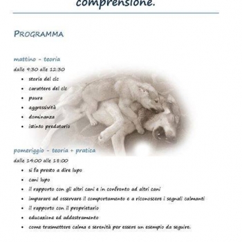 Immagine evento