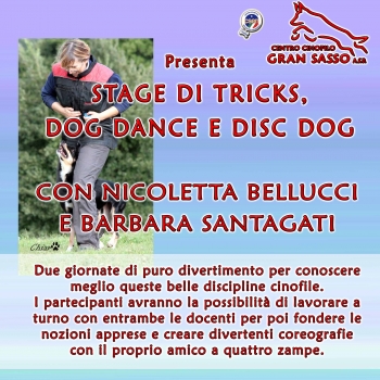 Immagine evento
