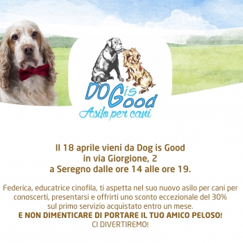 Immagine evento