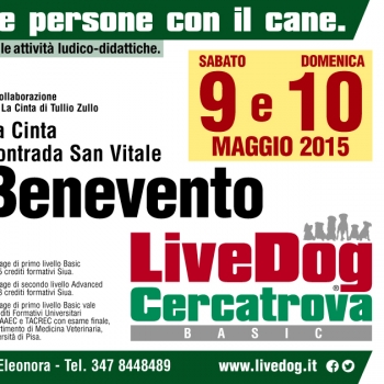 Immagine evento