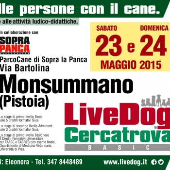 Immagine evento