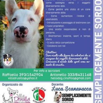 Immagine evento