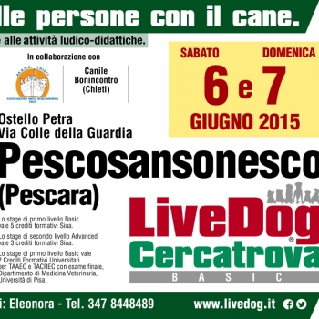 Immagine evento