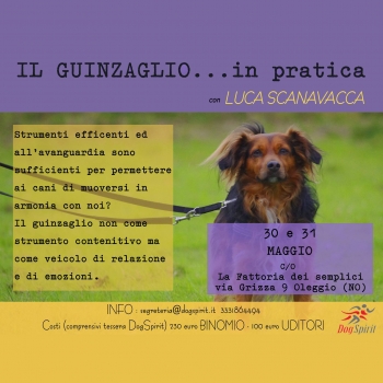 Immagine evento