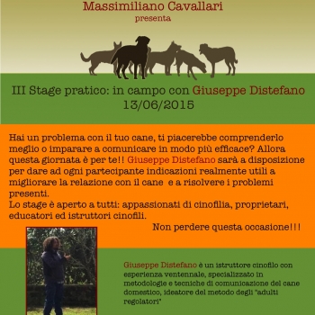 Immagine evento
