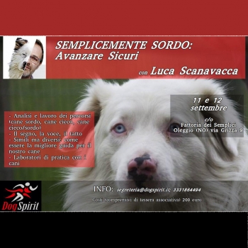 Immagine evento