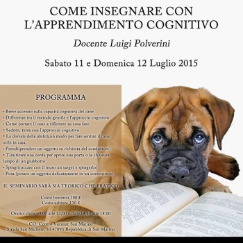 Immagine evento