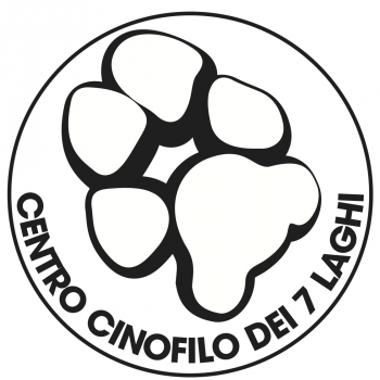 Immagine evento