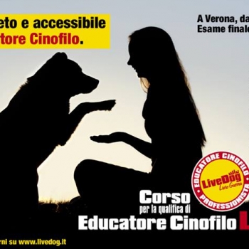 Immagine evento