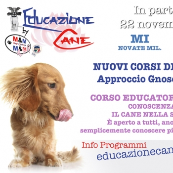 Immagine evento
