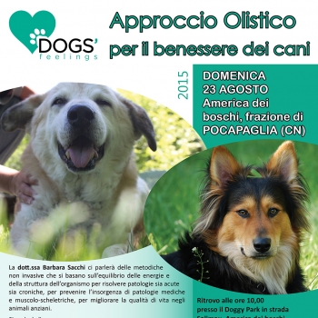 Immagine evento