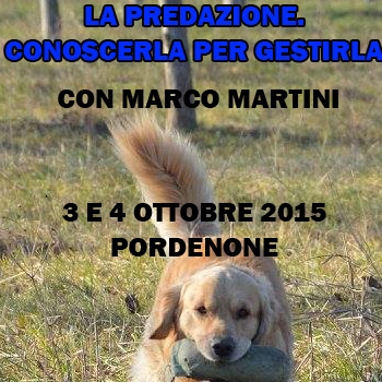 Immagine evento
