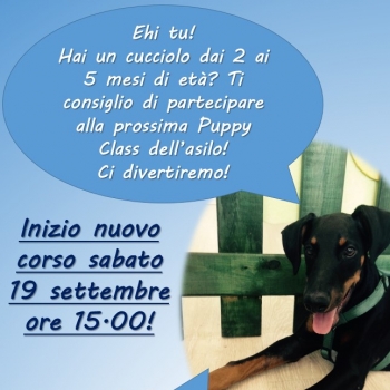 Immagine evento