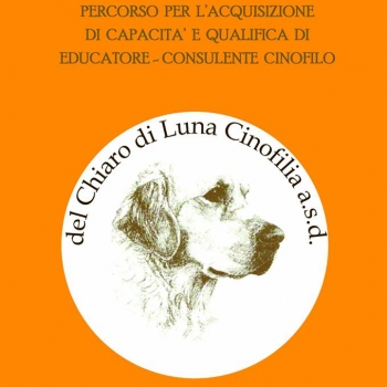 Immagine evento