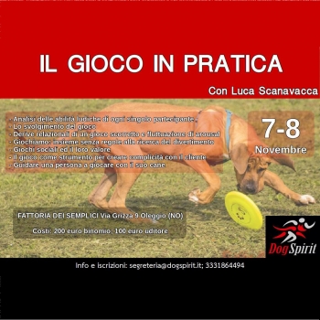 Immagine evento