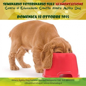 Immagine evento