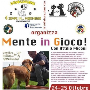 Immagine evento