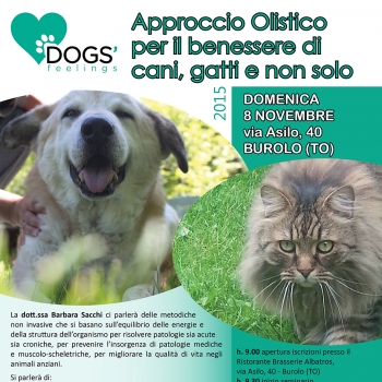 Immagine evento