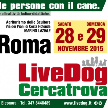 Immagine evento