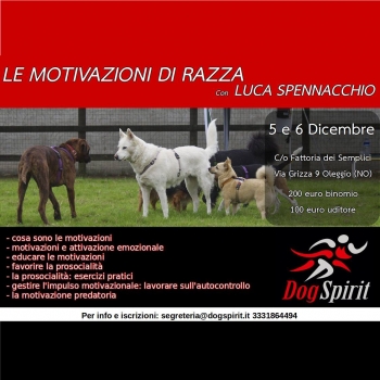 Immagine evento
