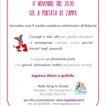 Immagine evento