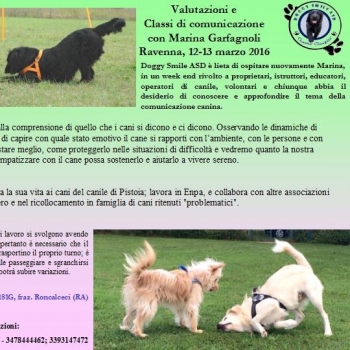 Immagine evento
