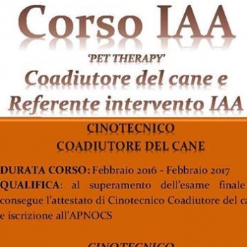Immagine evento