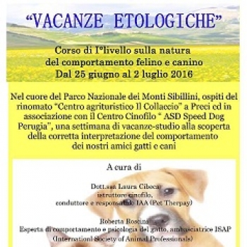 Immagine evento