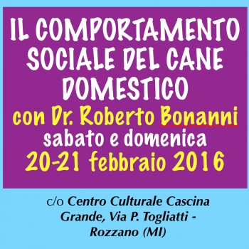 Immagine evento