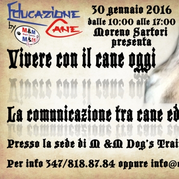 Immagine evento