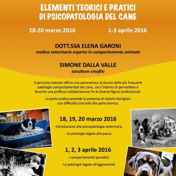 Immagine evento