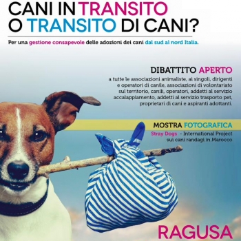 Immagine evento