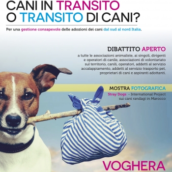 Immagine evento