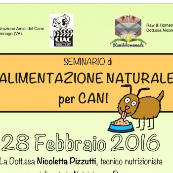 Immagine evento