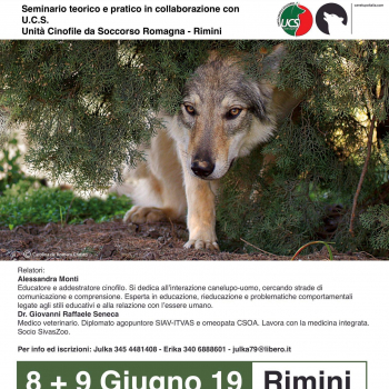 Immagine evento