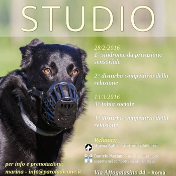 Immagine evento
