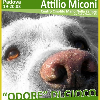 Immagine evento